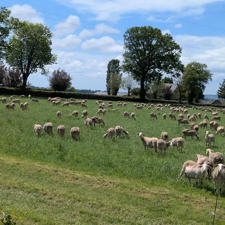 Dom wakacyjny Maison Des Lacs